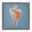Cadre flottant Soft Sea Conch Shell, design par Julia Purinton-2138450560-2138450566