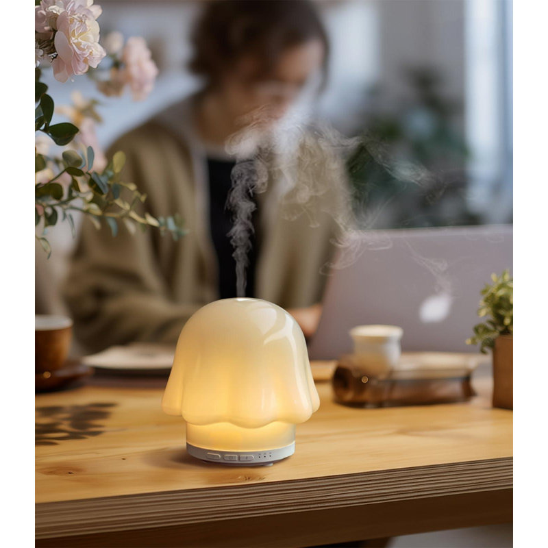 Diffuseur d'huiles essentielles pour le verre à la maison: diffuseur ultrasonique à brume fraîche Mimicat