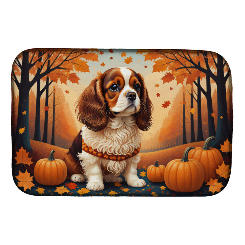 Tapis de séchage
