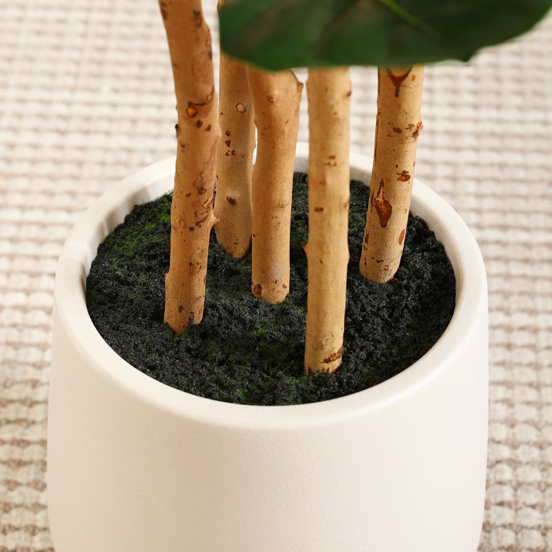 Adcock  Artificial Fiddle Leaf Fig Tree with Realistic Leaves and Natural Trunk, Potted Tree, 84" H x 28" W x 28" D
