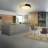 Ceiling Light Dimmable Modern Minimalist LED Round Shaped Metal Flush Mount Ceiling Light With Remote Control-100023124-100023123