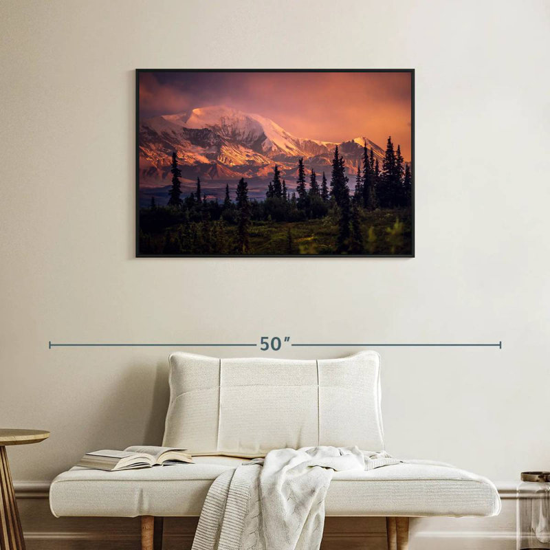 Denali et forêt Denali, Cadre flottant noir, 37 po x 25 po