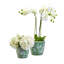 Carroll Set Of 2 Hand-Painted Cachepot / Planter