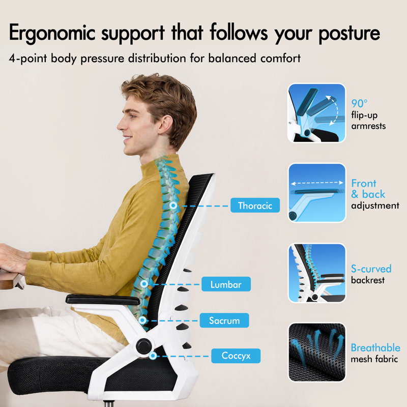 Rebrilliant Mesh and Foam Padding Office Chair, Black, White
