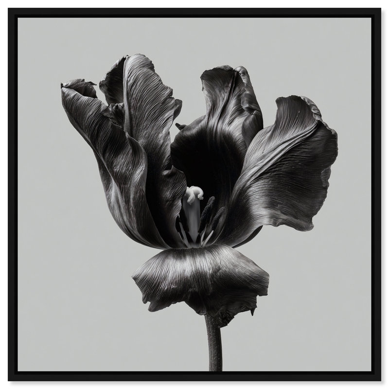 Tidal Wilt II Print by Oliver Gal, 13"H x 13"W, Black Floater Frame