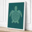 Drifting Turtle Japandi - Wrapped Canvas-168293176-168293182