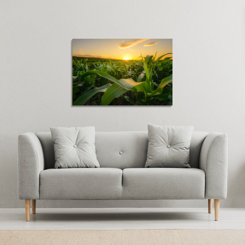Field At Sunset by Andrew Lee - Wrapped Canvas Print, 41cm H x 61cm W x 4cm D