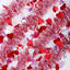 Décorations de guirlande pour la Saint-Valentin
