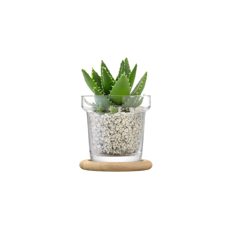 Round Glass Planter