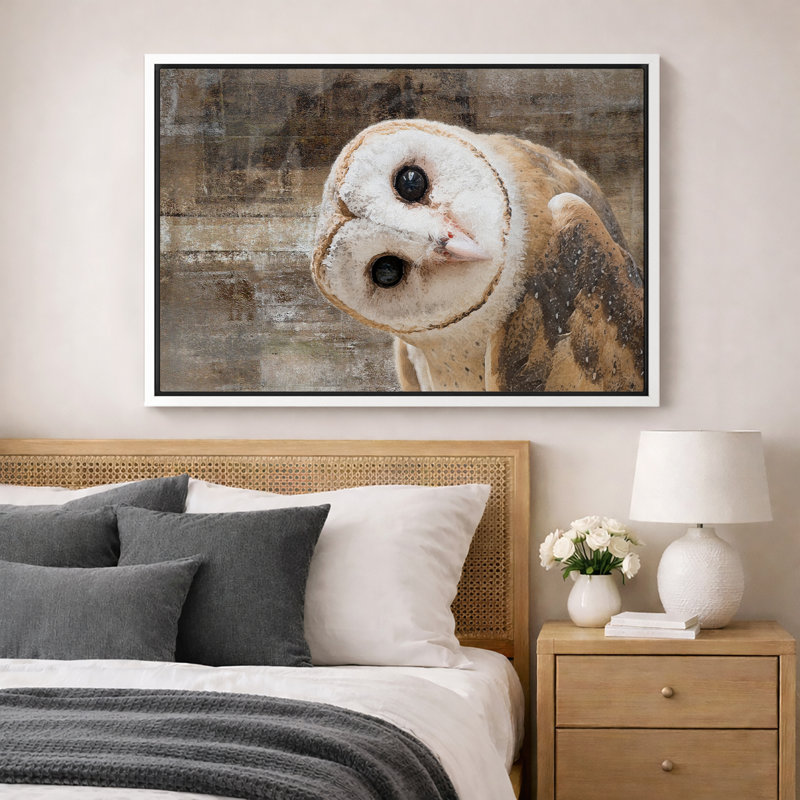 «Bird Bird Curious Owl Look» (Tyto Albahead), tête en gros plan sur toile, H 16 po x l 24 po, Impression encadrée, Blanc