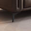 Chicorée-2066233989
