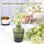 Ensemble de vases en verre 12 pièces, petits vases à fleurs vertes pour centres de table en vrac, mini vase rétro pour mariage, maison, décoration de table