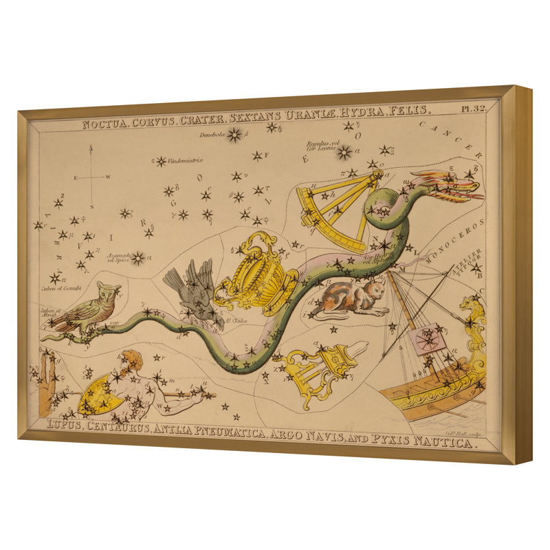 Noctua Print by Grand Archives, Gold Framed, 32" H x 45" W