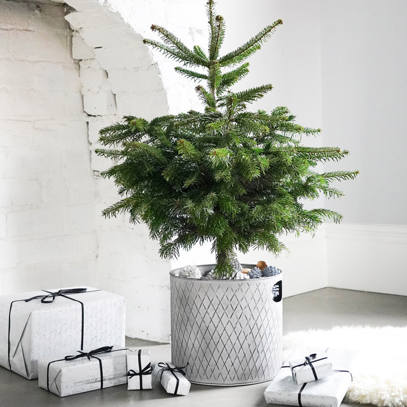 Zinc Planter Bucket, 28cm x 28Cm W x 28Cm D