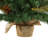 2' H Lighted Artificial Pine Christmas Tree