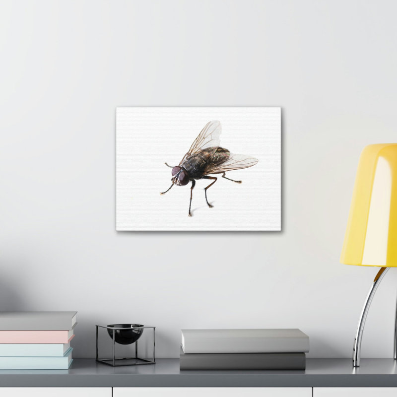 No Frame Print on Canvas, 27.94cm H x 35.56cm W