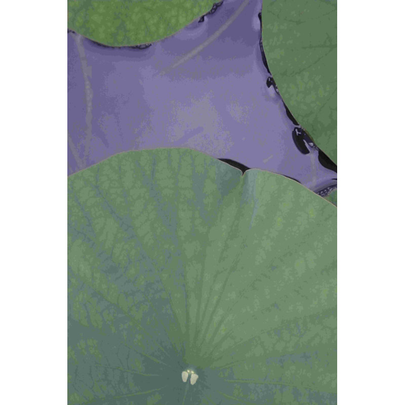 Détail de lotus X, H 12 po x l 8 po