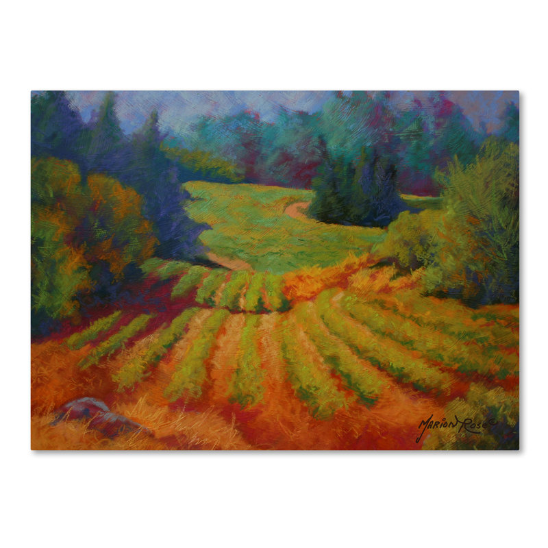 «Vineyard 2» par Kucera, reproduction d'art sur toile tendue, H 35 po x l 47 po