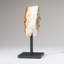 Citrine Quartz Crystal Cluster on Metal Stand (7" H x 2.75" W, 2.2 Lbs)
