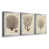 Silver Framed selected