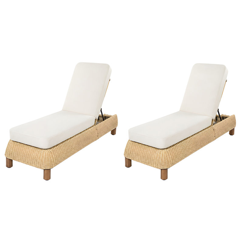 Outdoor Chaise Lounge Set with Cushions