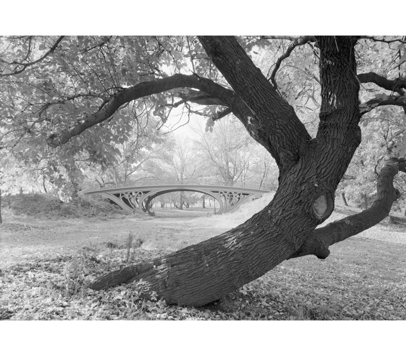 Pont Cetral Park, New York, H 34 po x l 48 po