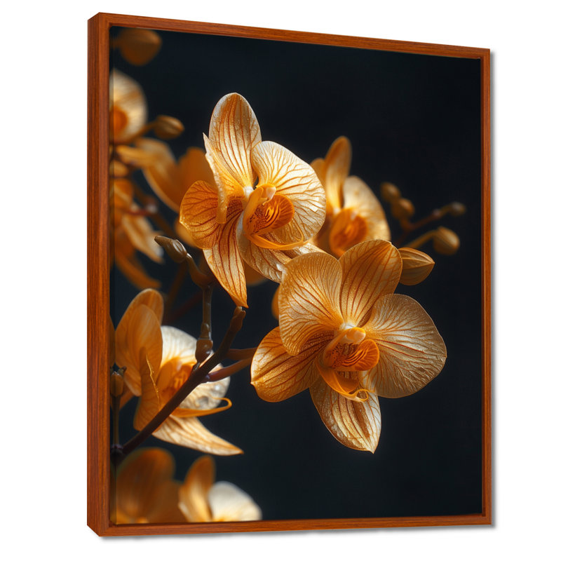 Orchidées noires parfumées Fusion III - art mural Orchidées, Cadre flottant brun, H 12 po x l 20 po