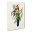 Rose-Hill Parakeets by Elizabeth Gould - Wrapped Canvas-55323995