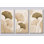 Très grand ensemble de 3 feuilles de ginkgo abstraites, impression sur toile botanique beige, décoration de chambre à coucher moderne, impression sur toile 24 x 36 pouces - prête à être accrochée