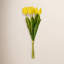 Vickerman 16"H Plum Tulip Bundle of 5.-1404122198