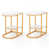 White Top/Gold Base