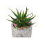 Plante artificielle
