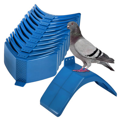 10 pièces avec support à colombe et grilles pour perchoirs