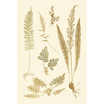 Fern Impressions III by Henry Bradbury - 1 Piece Wrapped Canvas Painting