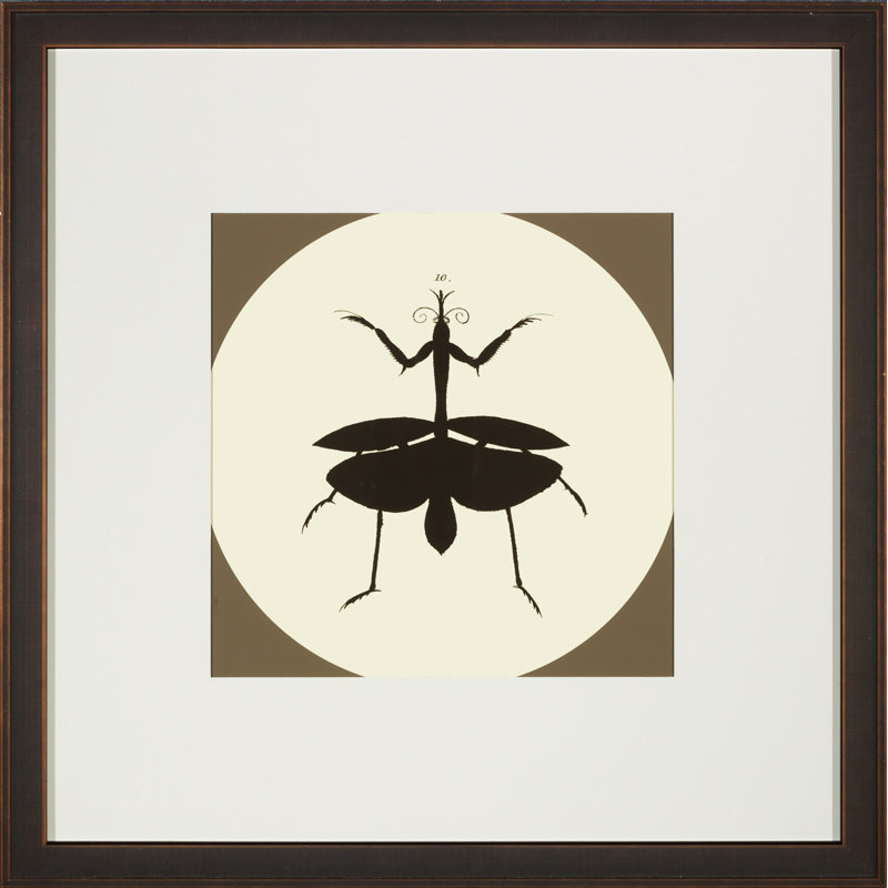 «Insect Silhouette III», impression encadrée