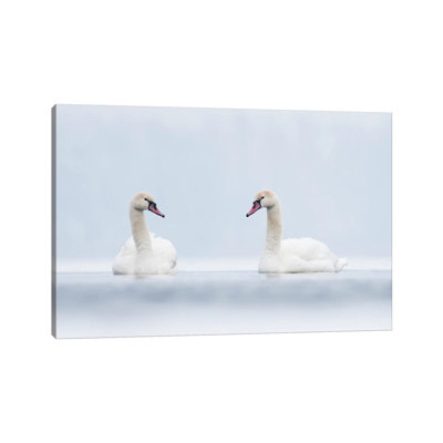 MTU80-Cygnes en blanc