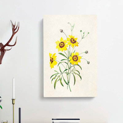Yellow Tickseed Flowers by Pierre-Joseph Redoute - Wrapped Canvas
