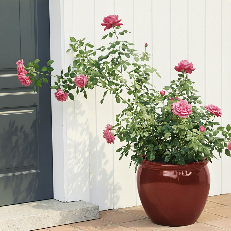 Ensemble de 3 pots à fleurs d'intérieur / extérieur en céramique avec trou de drainage, Rouge
