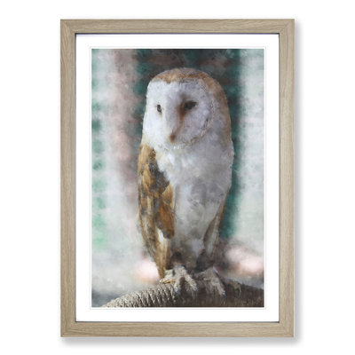 Barn Owl Vol.7 - Picture Frame Painting