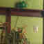 Photos des clients 1 de 1