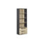 Coelia 163cm H x 57cm W Library Bookcase