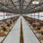 3Pcs FRP Floor Grating Covers-115044097