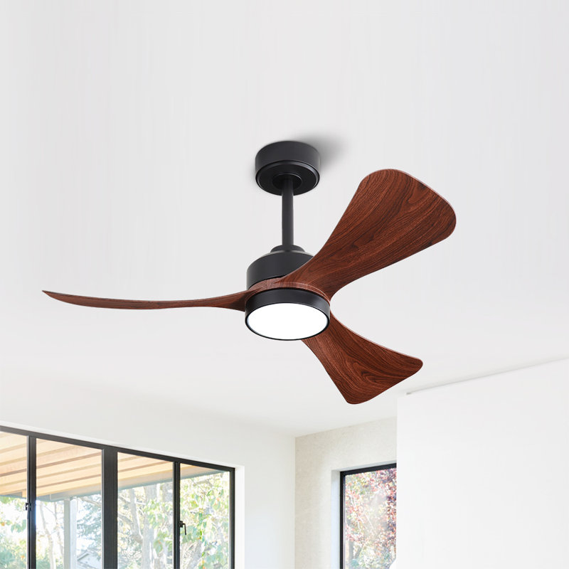 42 po Ventilateur de plafond d'intérieur à 3 pales avec ensemble d'éclairage et télécommande, Noir, Noyer