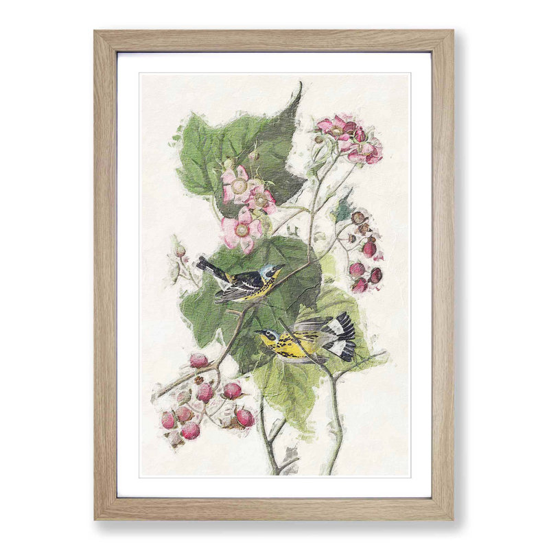 Black & Yellow Warbler Birds by John James Audubon - Picture Frame Painting Print, 48cm H x 36cm W x 2cm D, Oak Framed