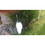 Art de jardin aigrette