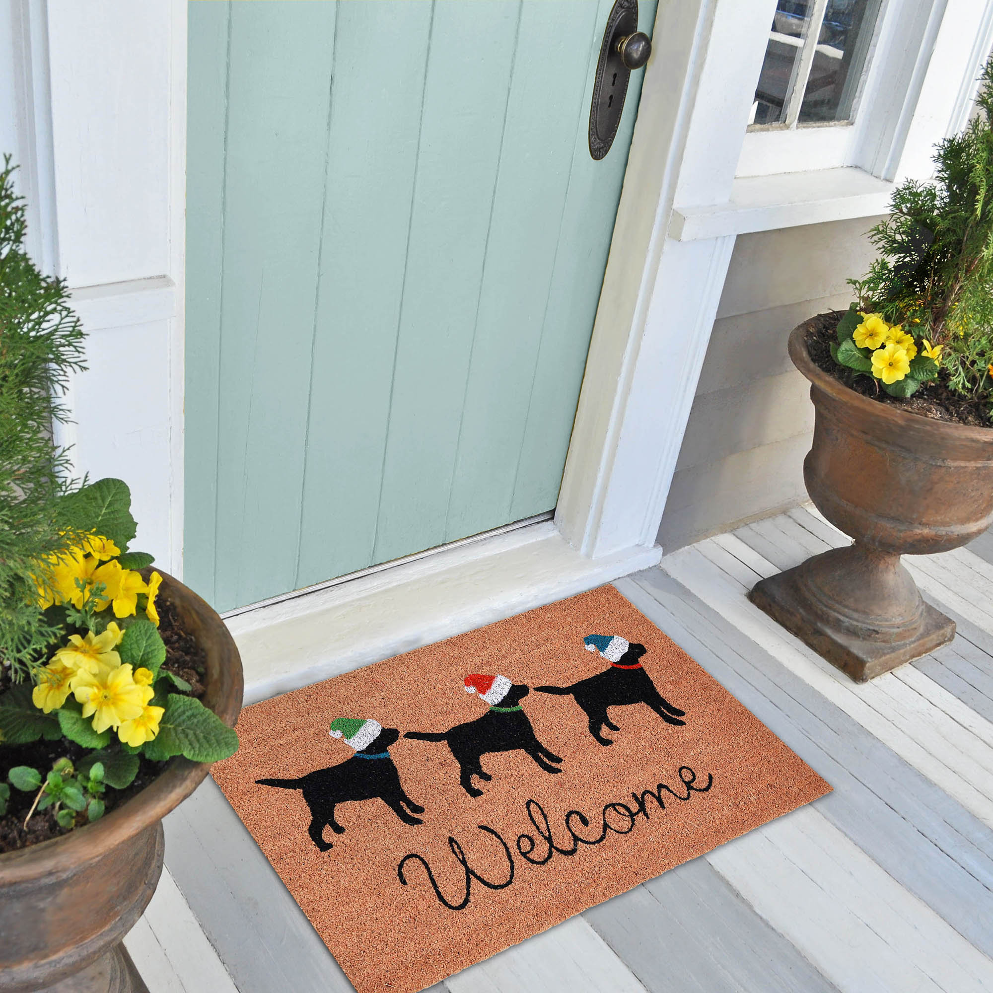 Freeport Park® Fluellen 30 x 18 Non-Slip Outdoor Door Mat