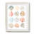 Bright Orbit I -Gallery Wrapped Canvas