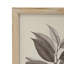 Ensemble de décorations murales botaniques 15,7 x 20,7 po pour la maison, le salon, la salle à manger, la chambre à coucher, le couloir, ensemble de 4