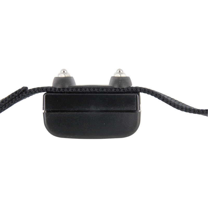 In-Ground Dog Collar