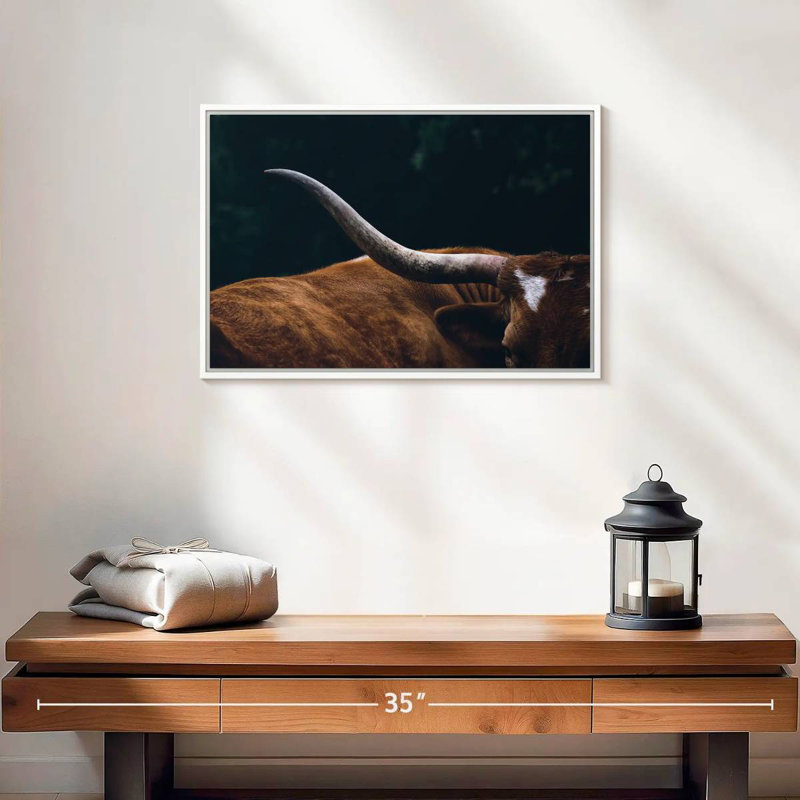 Cow Texas Longhorn, 19" X 13", Floating Frame White